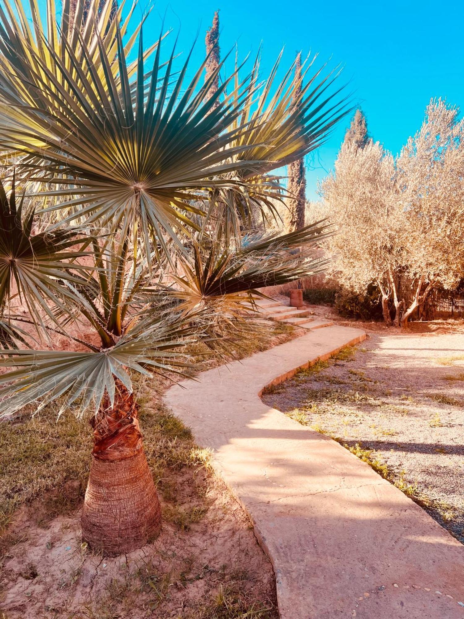 Edenatlas Chambres D'Hotes - Amizmiz Bagian luar foto